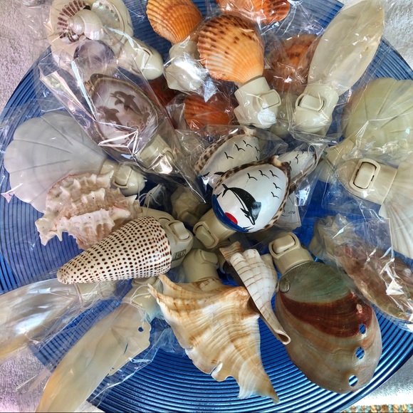 New! Cut LAMBIS seashell NIGHT LIGHT - Picture 5 of 5